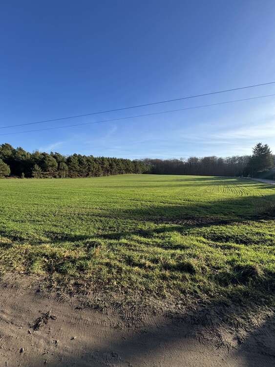 Thumbnail-Grundstück zu verkaufen in Wandlitz 799.000,00 € 22001 m²