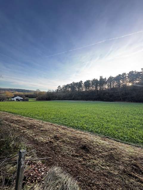 Thumbnail-Haus zum Kaufen in Weissach-Flacht 589.000,00 € 138.63 m²