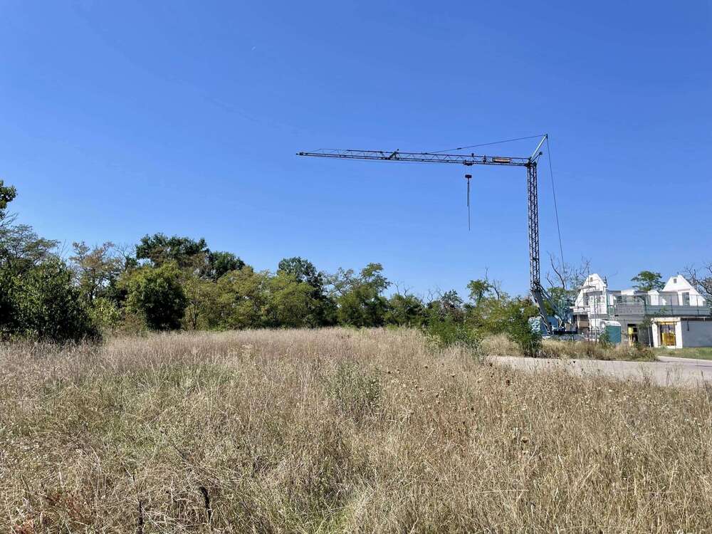 Thumbnail-Grundstück zu verkaufen in Neuenburg 185.850,00 € 413 m²