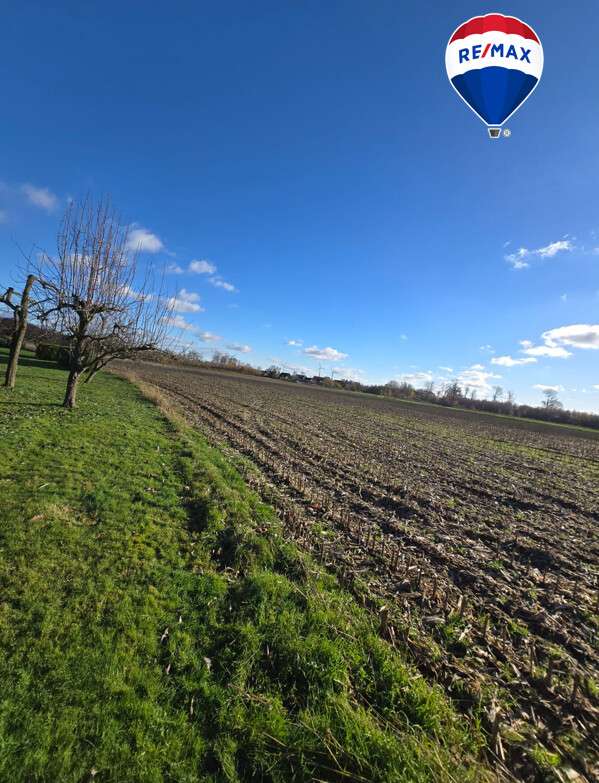 Thumbnail-Haus zum Kaufen in Visbek Rechterfeld 889.400,00 € 210 m²