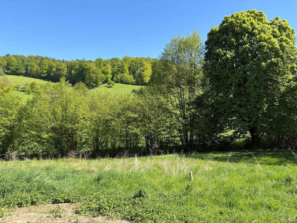 Thumbnail-Grundstück zu verkaufen in Seeheim Jugenheim 149.000,00 € 550 m²