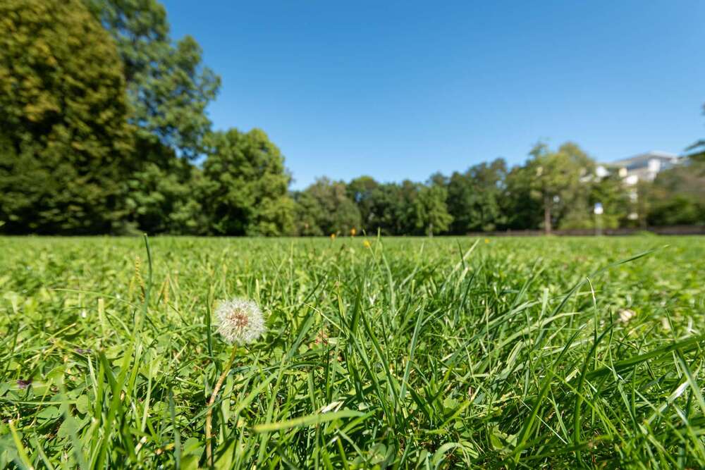 Thumbnail-Grundstück zu verkaufen in München 2.100.000,00 € 887 m²