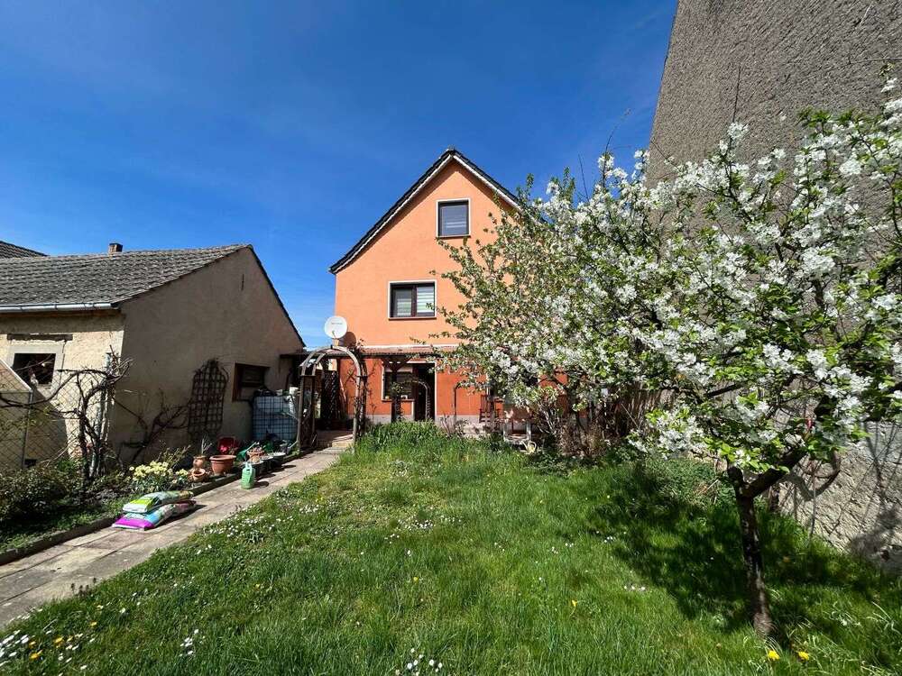 Thumbnail-Haus zum Kaufen in Schönfeld 285.000,00 € 207.34 m²