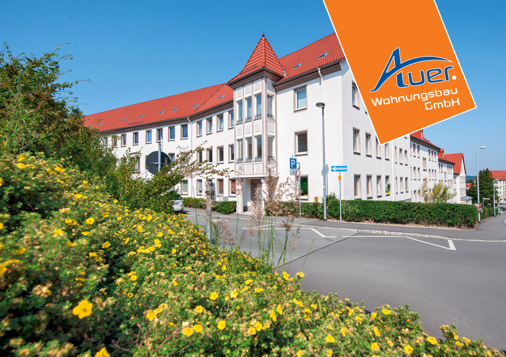 Thumbnail-Wohnung zum Mieten in Aue-Bad Schlema 384,66 € 64.11 m²