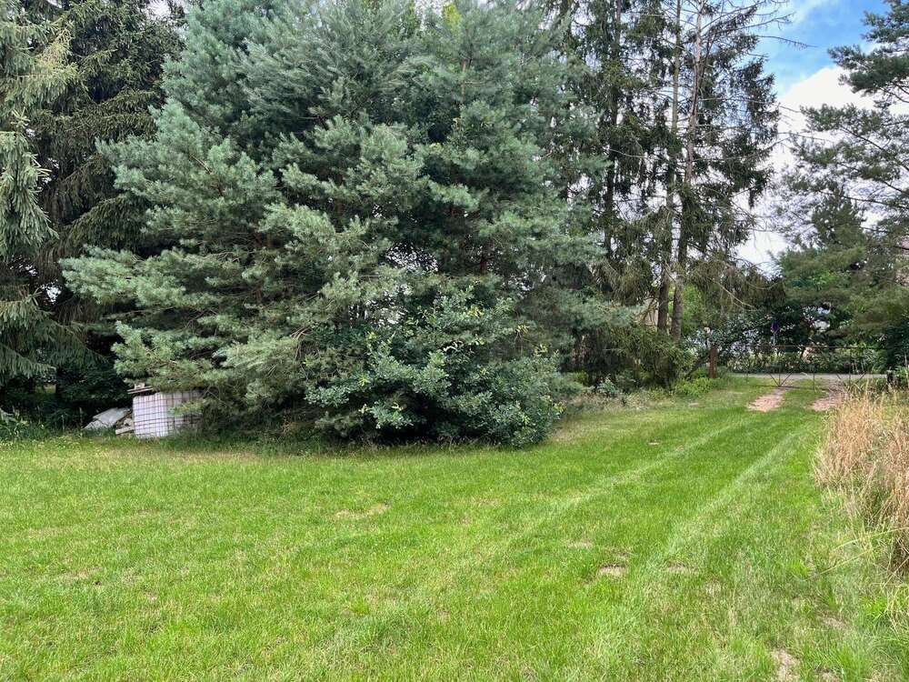 Thumbnail-Grundstück zu verkaufen in Benz 250.000,00 € 5265 m²