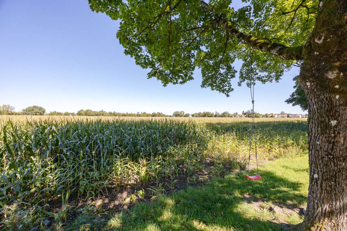 Thumbnail-Haus zum Kaufen in Taufkirchen 770.000,00 € 134 m²