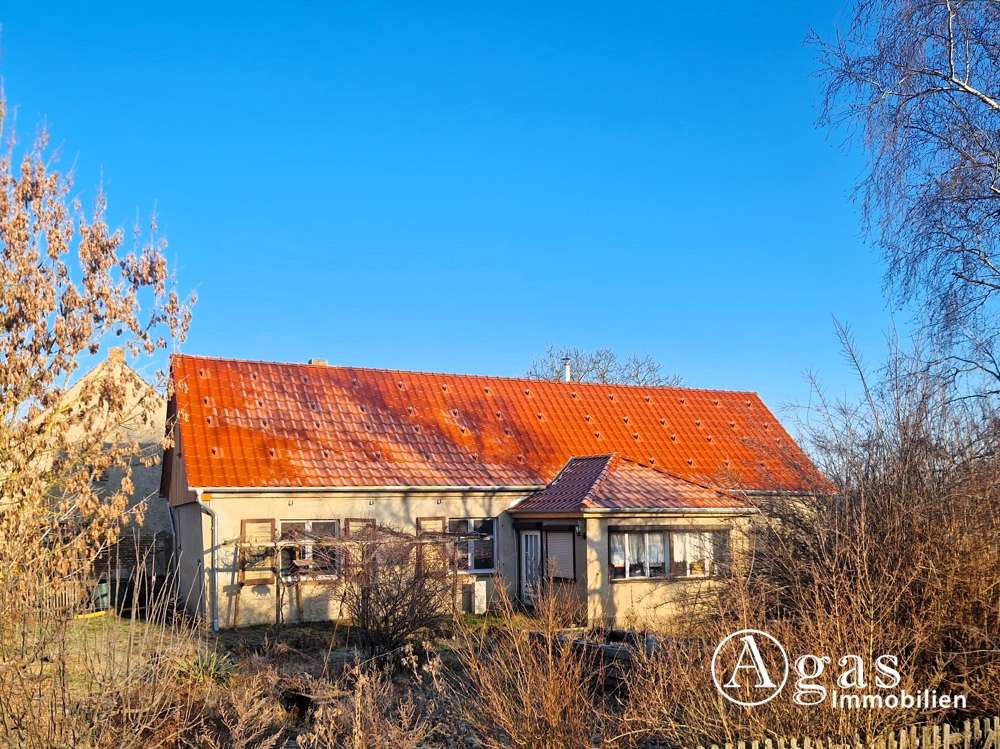 Thumbnail-Haus zum Kaufen in Küstriner Vorland Manschnow 249.000,00 € 110 m²