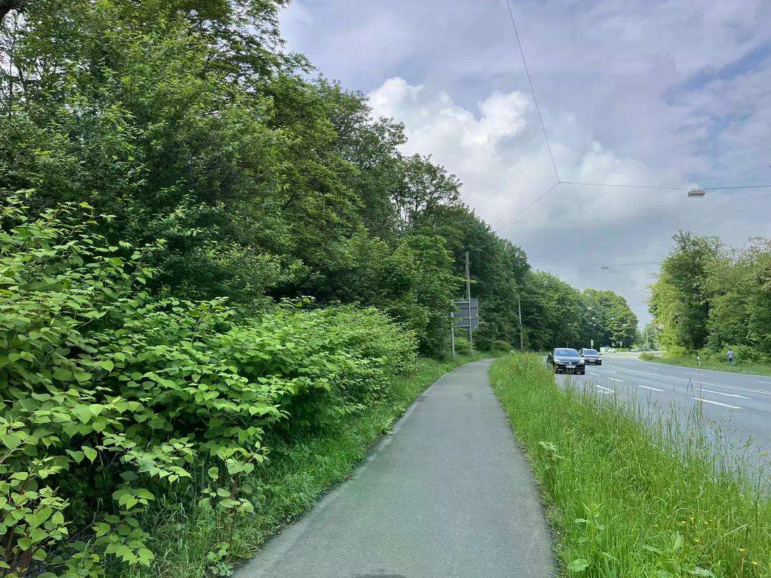 Thumbnail-Grundstück in Wuppertal 31.685,00 € 6337 m²