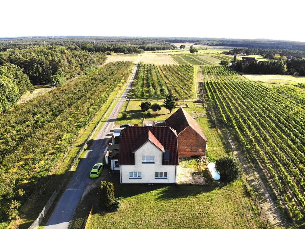 Thumbnail-Haus zum Kaufen in Jessen (Elster) 398.000,00 € 129 m²