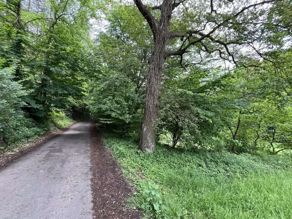 Thumbnail-Grundstück zu verkaufen in Wuppertal 6.575,00 € 2630 m²