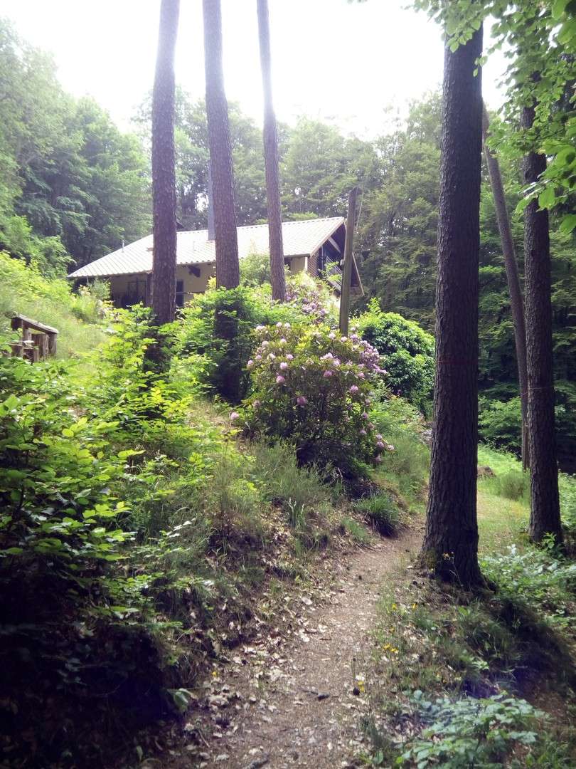 Thumbnail-Haus zum Kaufen in Lemberg 349.000,00 € 180 m²