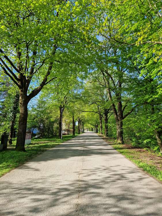 Thumbnail-Wohnung zum Kaufen in Unterschleißheim 891.000,00 € 90 m²