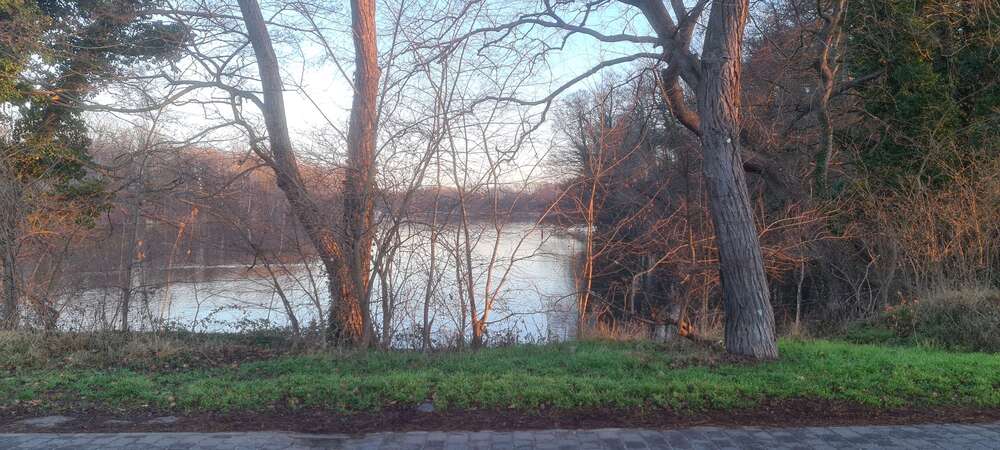 Thumbnail-Haus zum Mieten in Petzow 1.500,00 € 90.86 m²