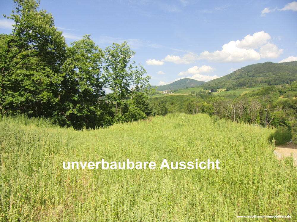 Thumbnail-Grundstück zu verkaufen in Sasbach 269.500,00 € 600 m²