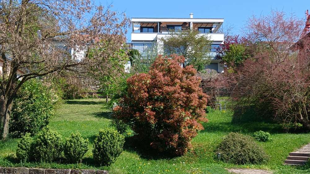 Thumbnail-Grundstück zu verkaufen in Weinsberg 445.000,00 € 627 m²