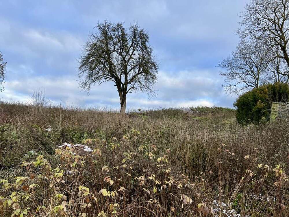 Thumbnail-Grundstück zu verkaufen in Sinzing Bergmatting 199.000,00 € 1421 m²