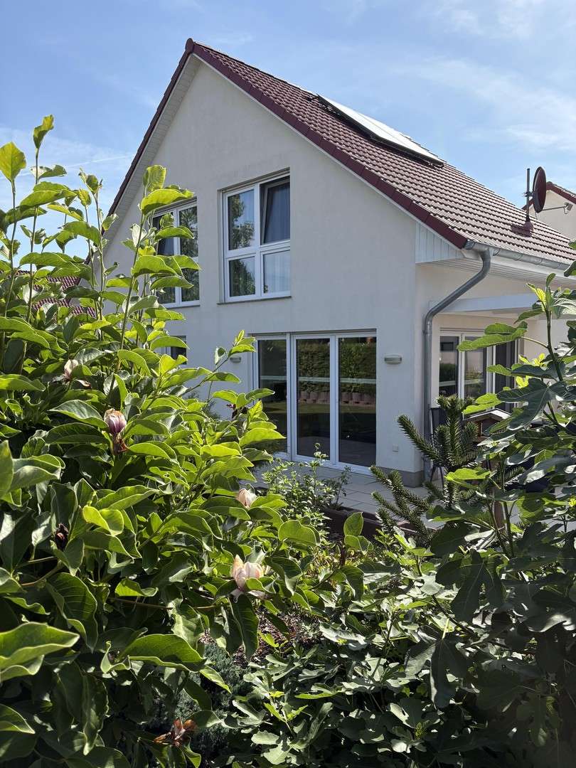 Thumbnail-Haus zum Kaufen in Waren(Müritz) 489.000,00 € 206 m²