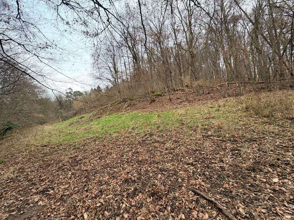 Thumbnail-Grundstück in Johannesberg-Steinbach 19.500,00 € 4000 m²