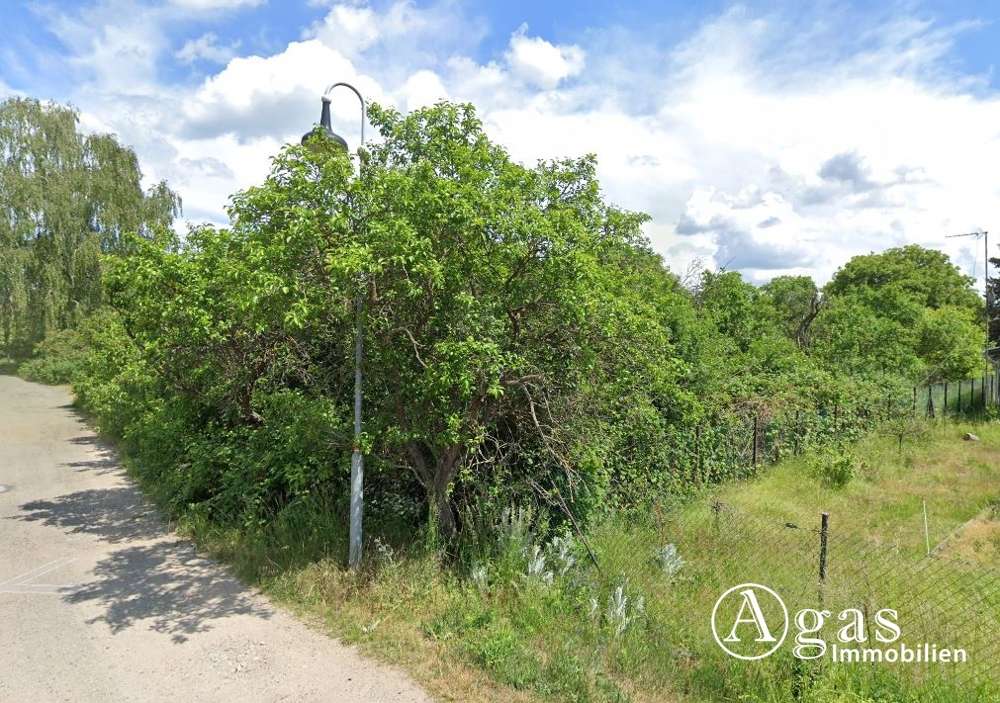 Thumbnail-Grundstück zu verkaufen in Groß Lindow 99.000,00 € 1022 m²