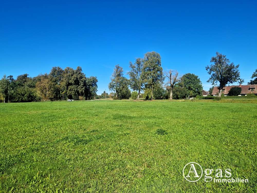 Thumbnail-Grundstück zu verkaufen in Möllenbeck 85.000,00 € 3822 m²