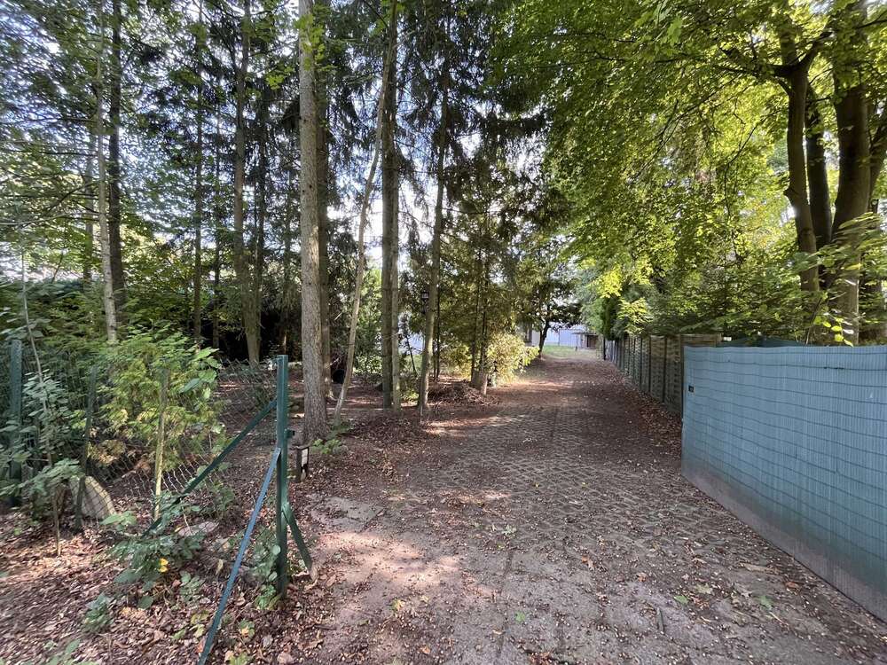 Thumbnail-Grundstück zu verkaufen in Wandlitz 298.000,00 € 1016 m²