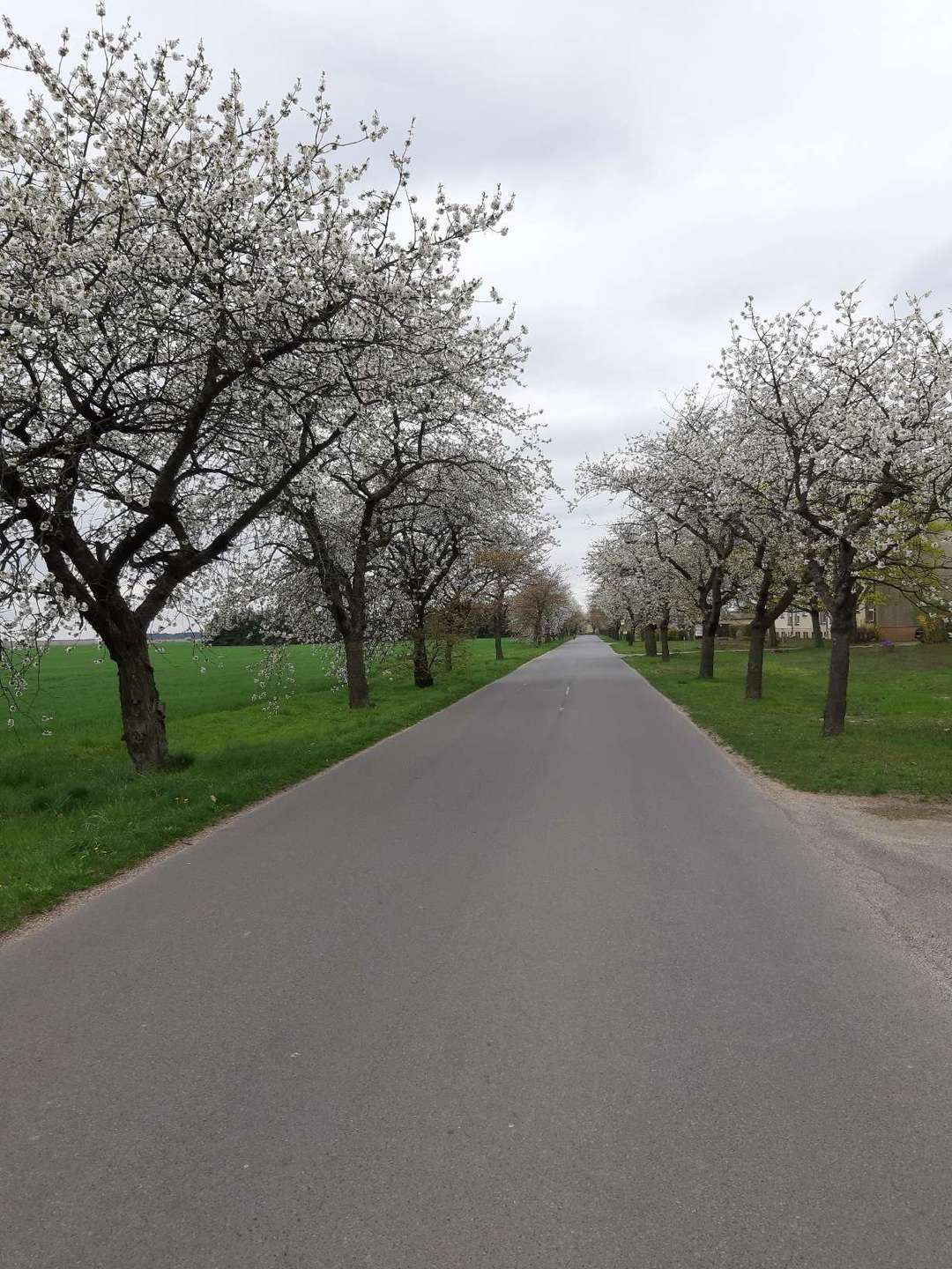 Thumbnail-Grundstück zu verkaufen in DahmeMark 54.900,00 € 577 m²