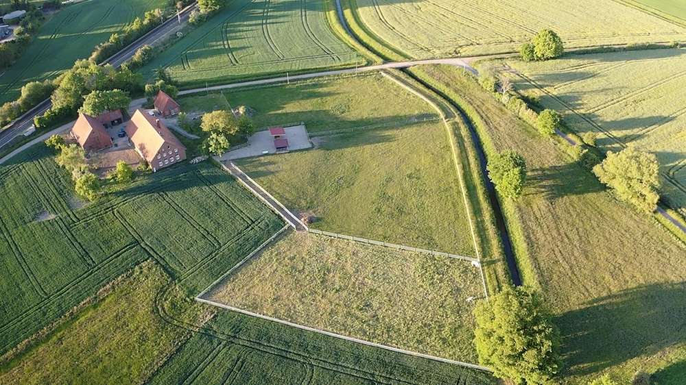 Thumbnail-Haus zum Kaufen in Westerkappeln 959.000,00 € 272 m²