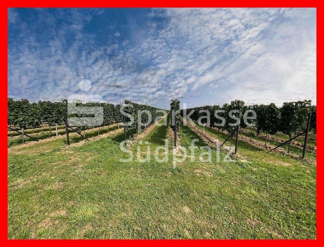 Thumbnail-Grundstück in Birkweiler 345.000,00 € 43129 m²