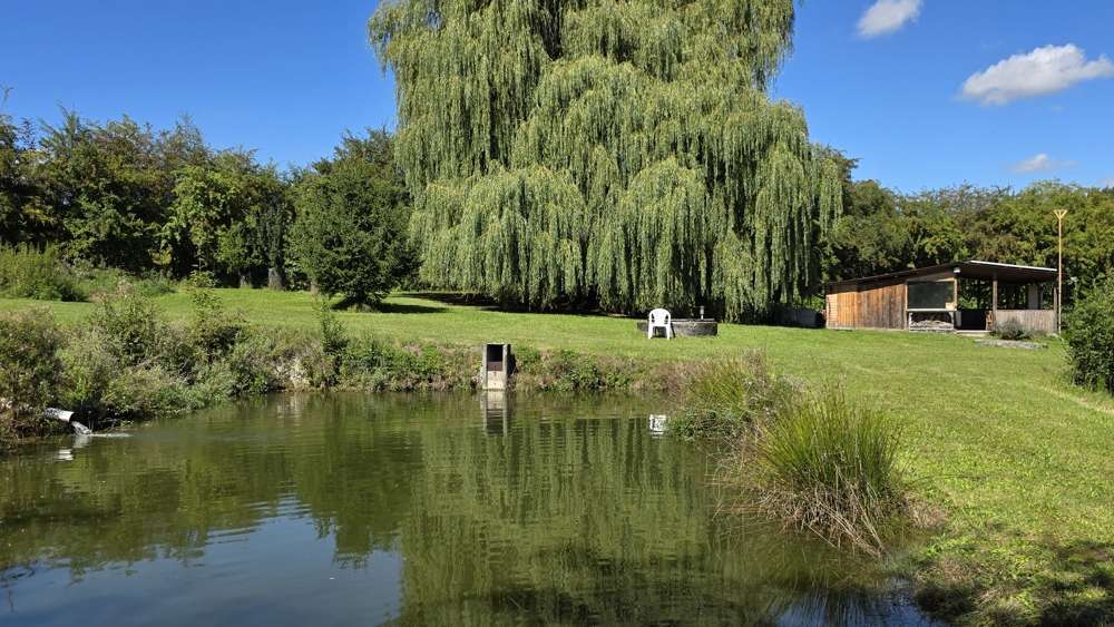 Thumbnail-Grundstück zu verkaufen in Altdorf Eugenbach 269.000,00 € 6214 m²