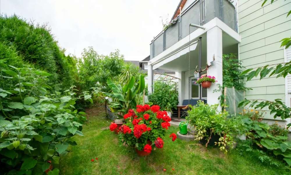 Thumbnail-Wohnung zum Kaufen in Dresden 159.900,00 € 54 m²