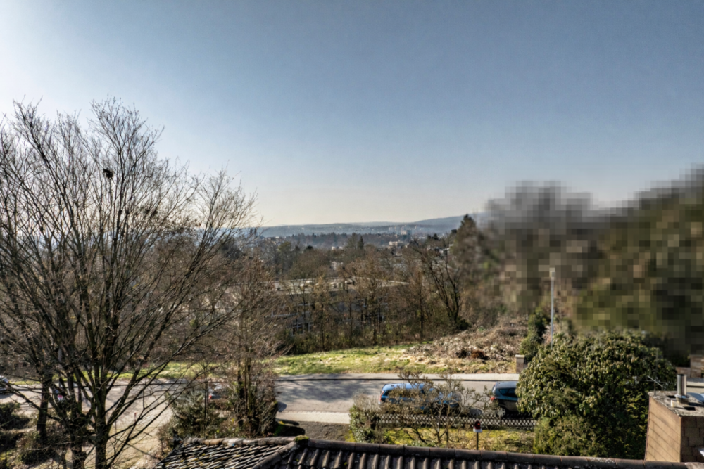 Thumbnail-Haus zum Kaufen in Wiesbaden 1.255.000,00 € 192 m²