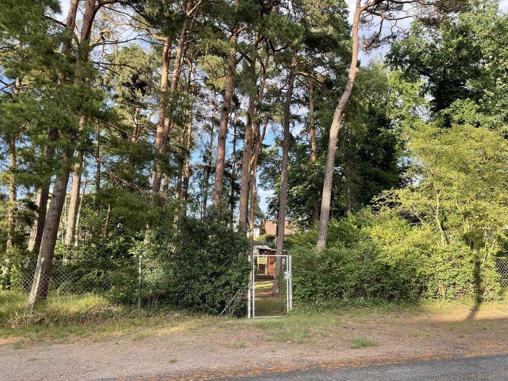 Thumbnail-Grundstück zu verkaufen in Binz 1.299.000,00 € 722 m²