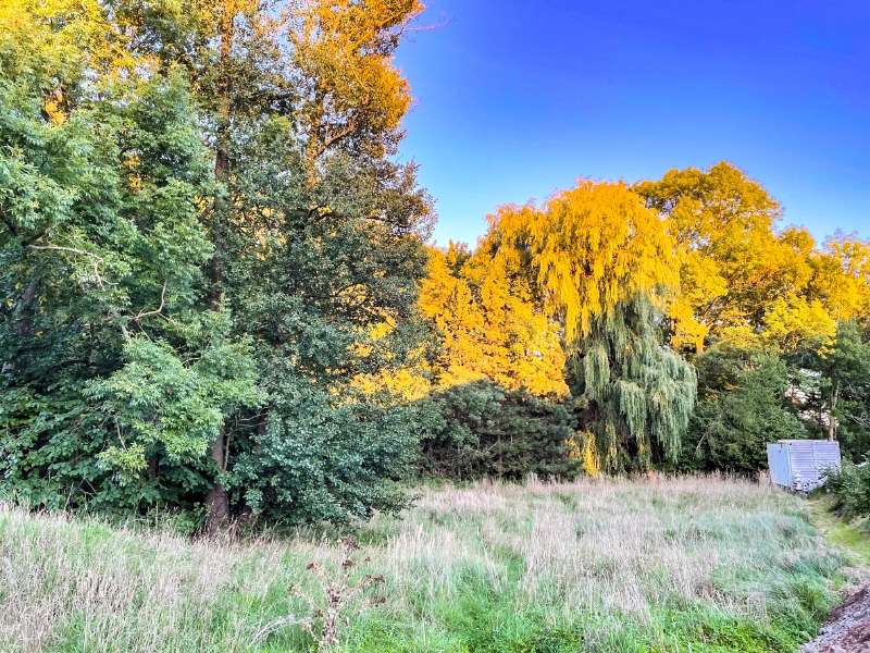 Thumbnail-Grundstück zu verkaufen in Arnsdorf 140.000,00 € 1852 m²