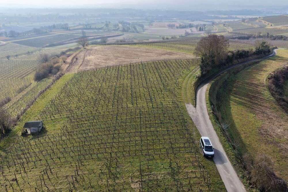 Thumbnail-Grundstück in Teningen Köndringen 19.800,00 € 4555 m²