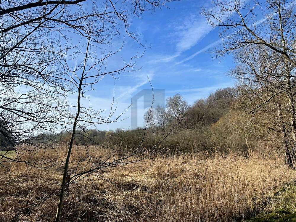 Thumbnail-Grundstück zu verkaufen in Krummesse 299.000,00 € 4318 m²