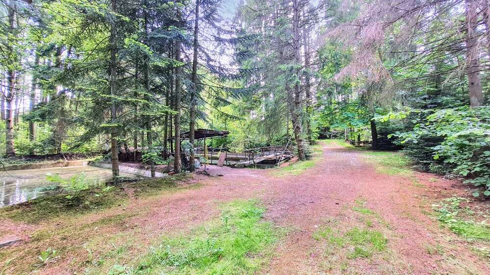 Thumbnail-Grundstück zu verkaufen in Harsefeld Issendorf 89.000,00 € 2959 m²