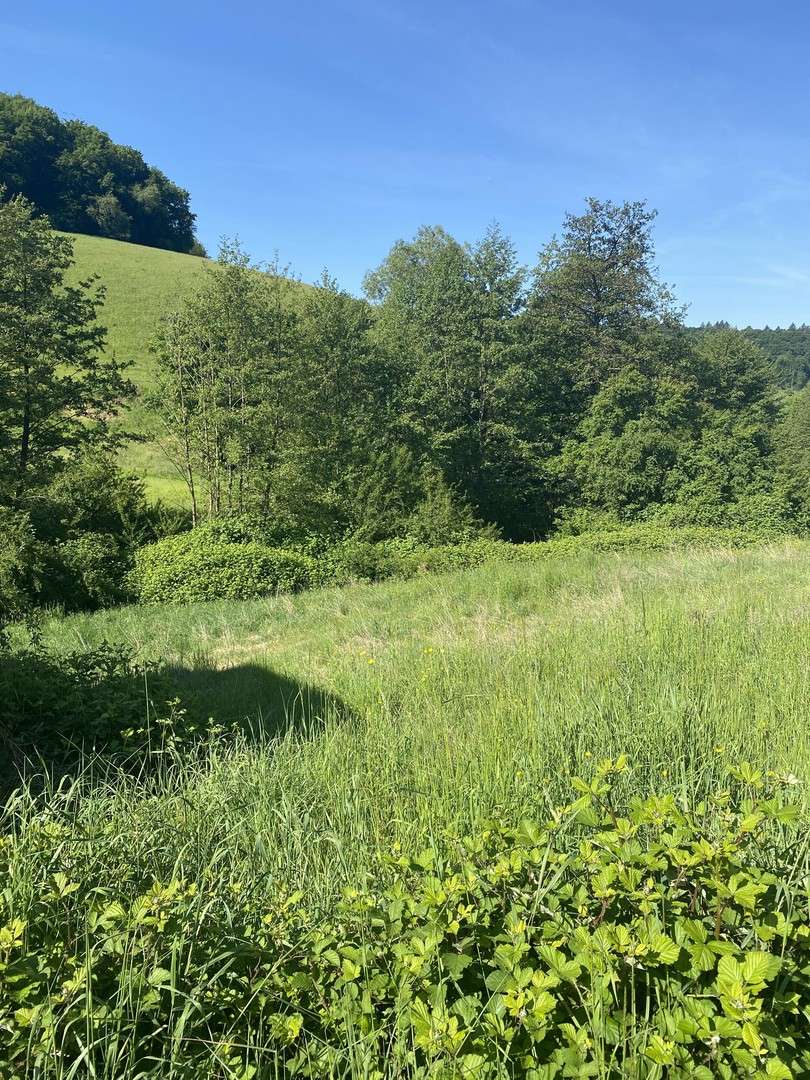 Thumbnail-Grundstück zu verkaufen in Gorxheimertal 199.500,00 € 632 m²