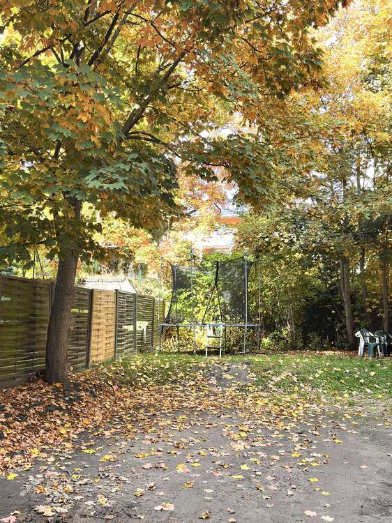Thumbnail-Wohnung zum Mieten in Zwickau 800,00 € 130 m²