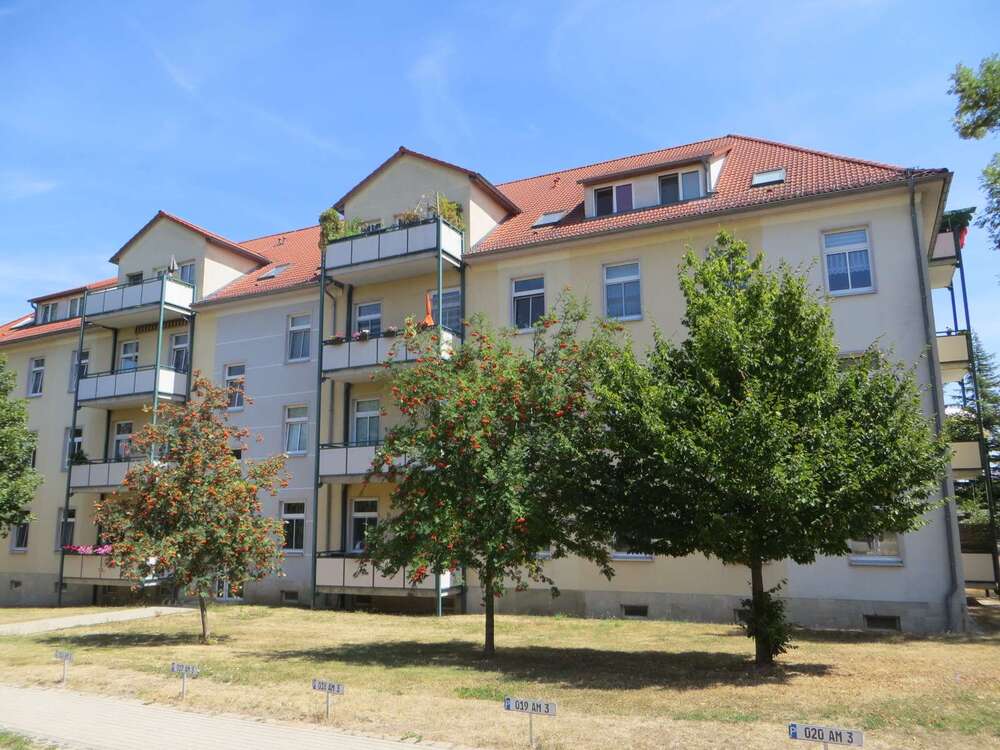 Thumbnail-Wohnung zum Mieten in Naumburg (Saale) 495,00 € 55.95 m²
