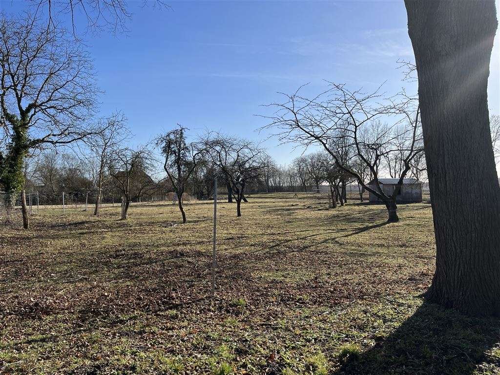 Thumbnail-Grundstück zu verkaufen in Lübow 234.000,00 € 3967 m²