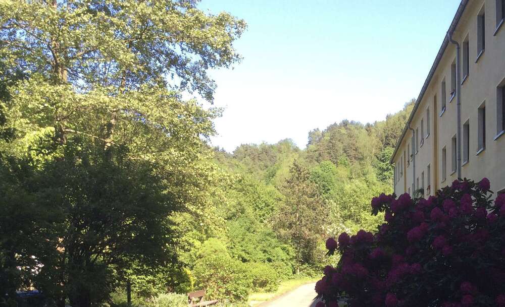 Thumbnail-Wohnung zum Mieten in Prossen 340,00 € 51 m²