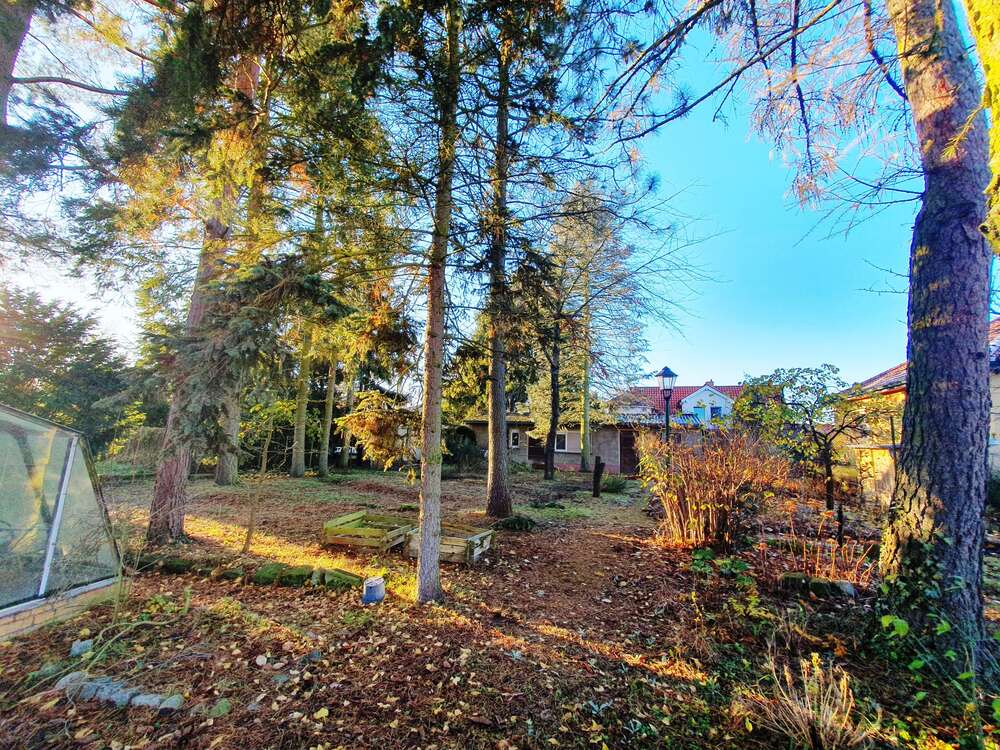 Thumbnail-Grundstück zu verkaufen in Teltow 355.000,00 € 597 m²