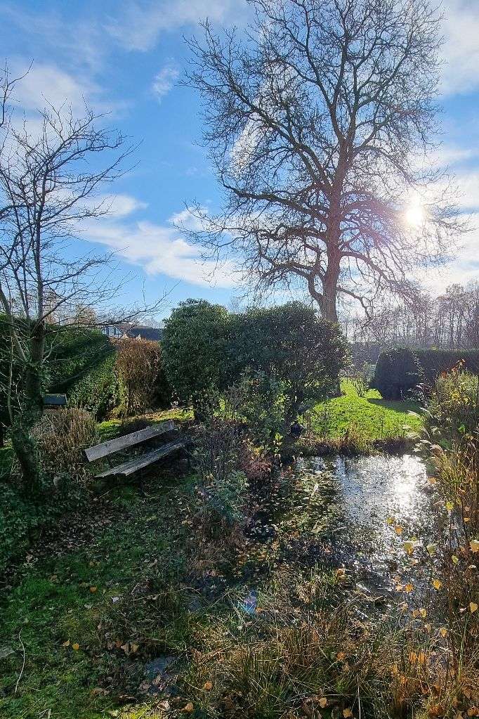 Thumbnail-Grundstück zu verkaufen in Leverkusen 185.000,00 € 471 m²