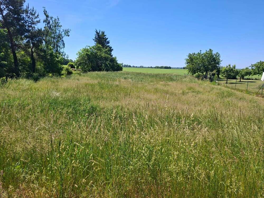 Thumbnail-Grundstück zu verkaufen in Neuwustrow 24.000,00 € 10941 m²