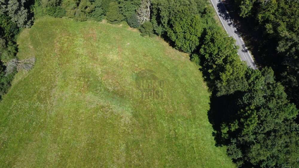 Thumbnail-Grundstück zu verkaufen in Bockenau 25.000,00 € 1977 m²