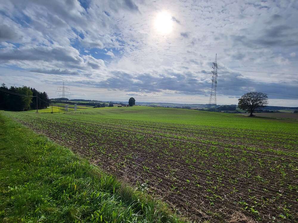 Thumbnail-Grundstück zu verkaufen in Lengdorf 430.000,00 € 28000 m²