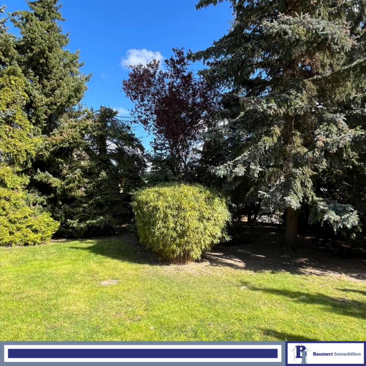 Thumbnail-Grundstück zu verkaufen in Hoppegarten 244.000,00 € 537 m²