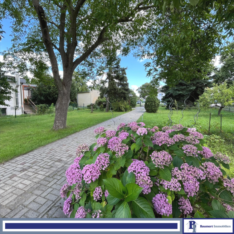 Thumbnail-Grundstück zu verkaufen in Berlin 199.000,00 € 600 m²