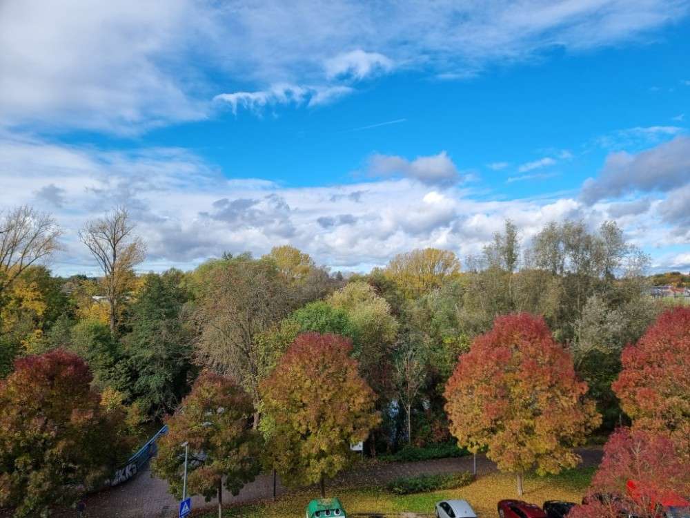 Thumbnail-Wohnung zum Kaufen in Fürth 240.000,00 € 64.3 m²