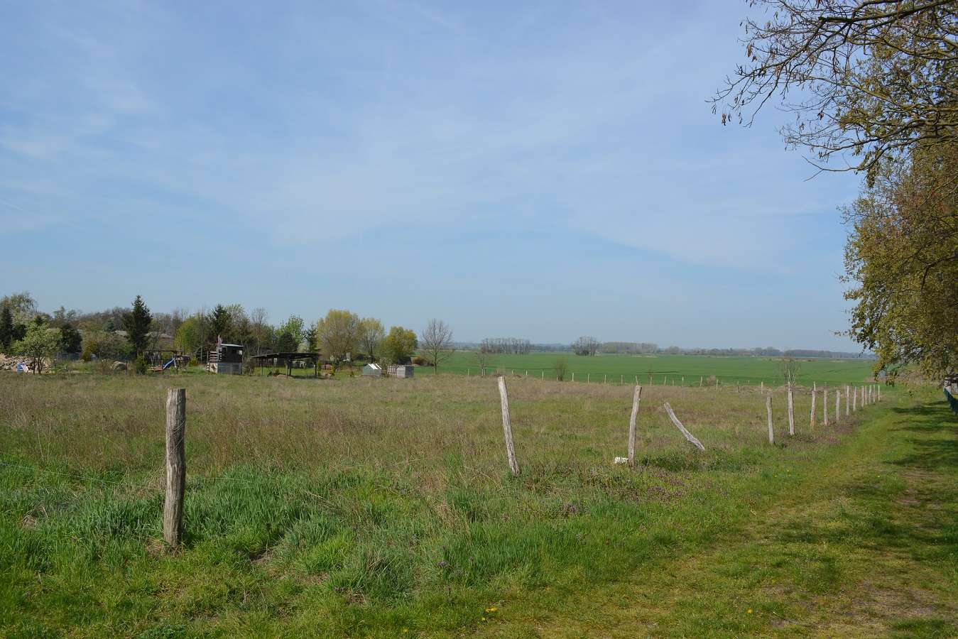 Thumbnail-Grundstück zu verkaufen in Podelzig 78.000,00 € 2700 m²